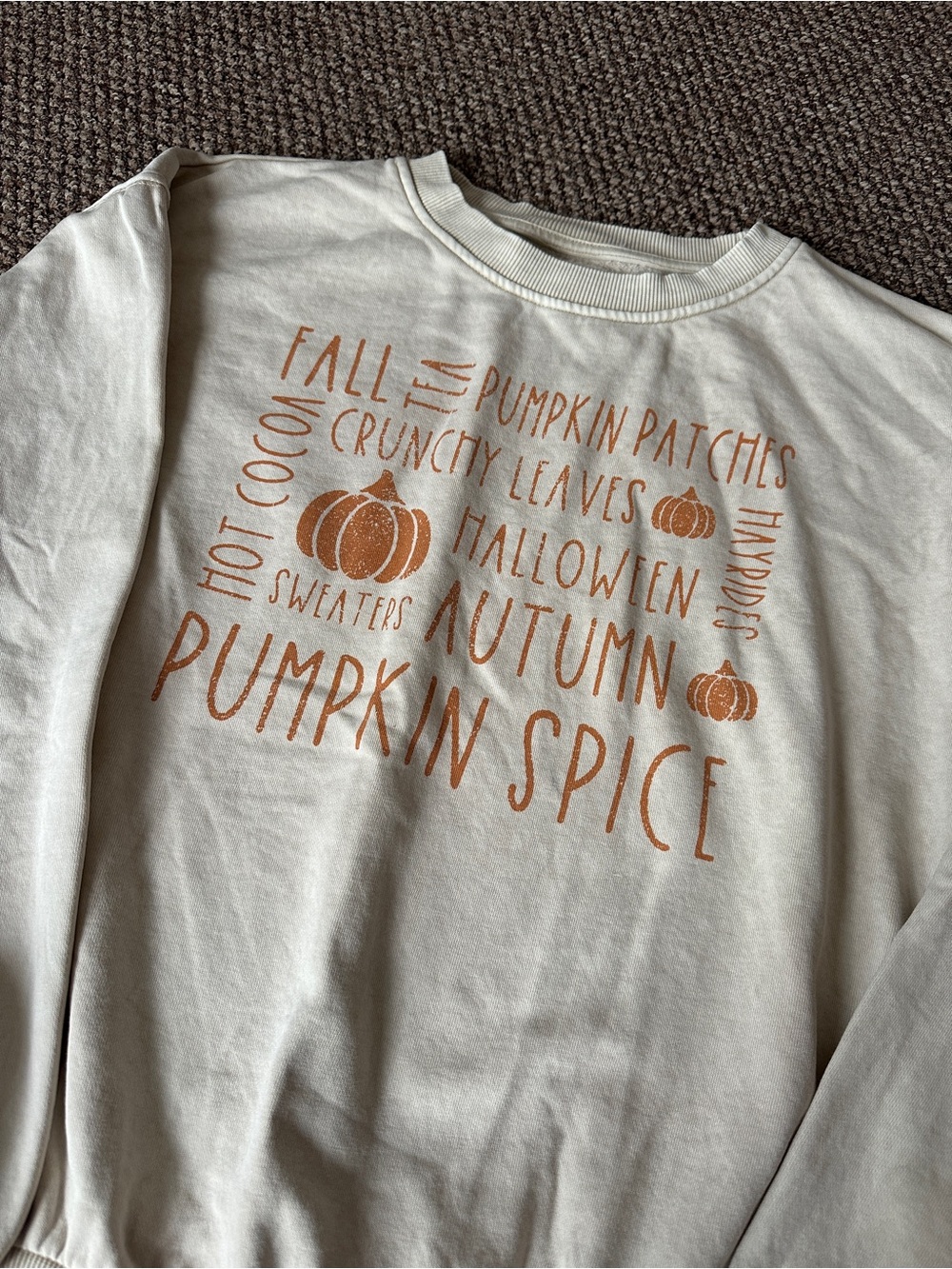 Pumpkin Spice Graphic Crewneck Sweatshirt - Cream - Picture 2 of 3